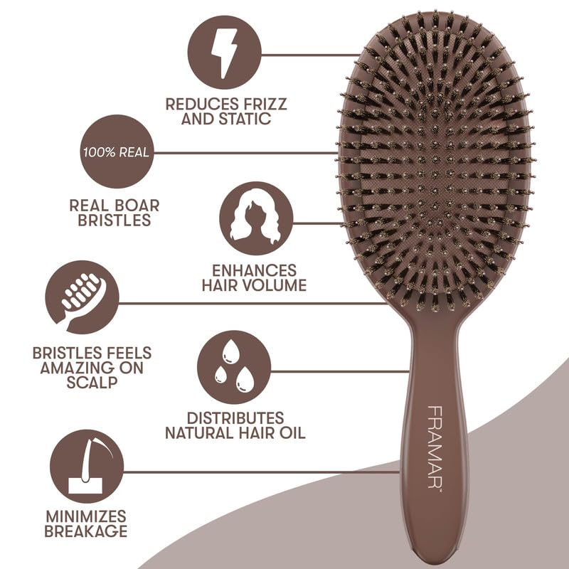 FRAMAR Soft Boar Bristle Hair Brush For Women, Boars Hair Brush For Women