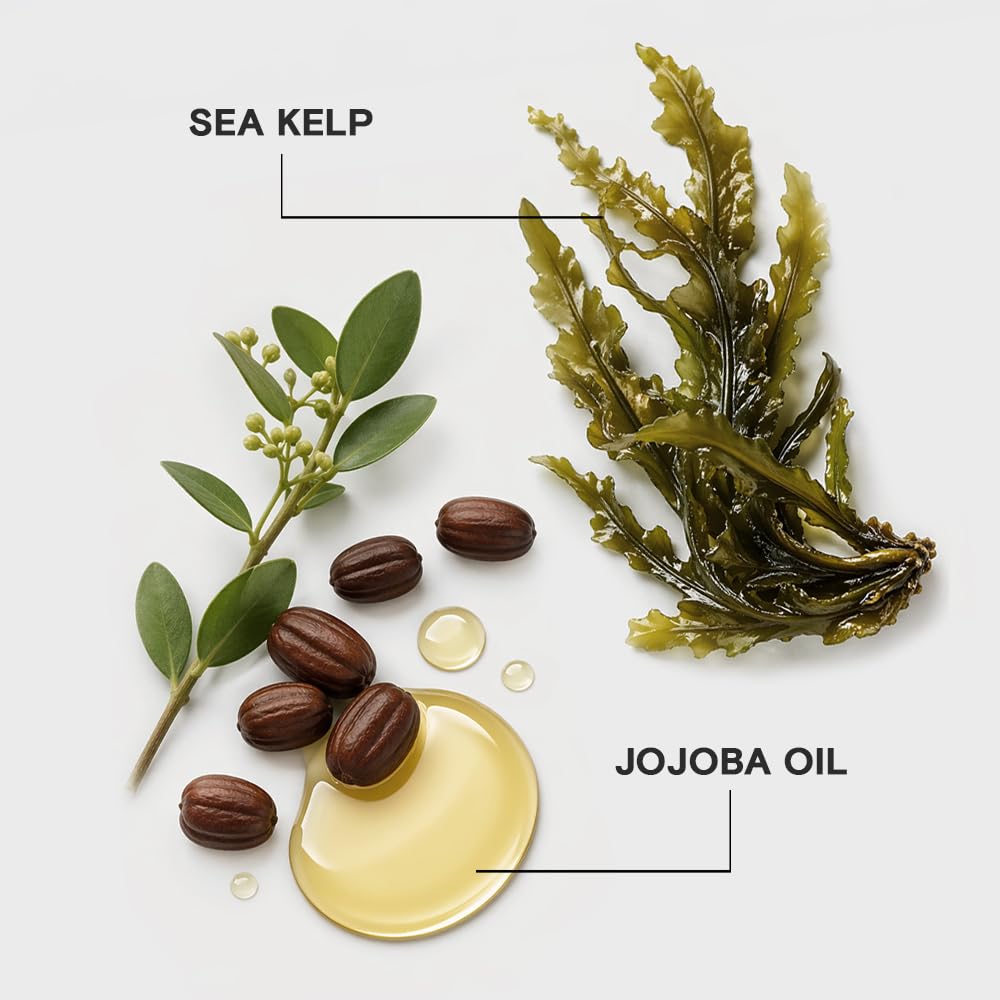 Joico Moisture Recovery Moisturizing Shampoo | For Thick, Coarse, Dry Hair | Replenish Moisture | Restore Smoothness & Elasticity | Reduce Breakage | Increase Strength | With Jojoba Oil & Shea Butter