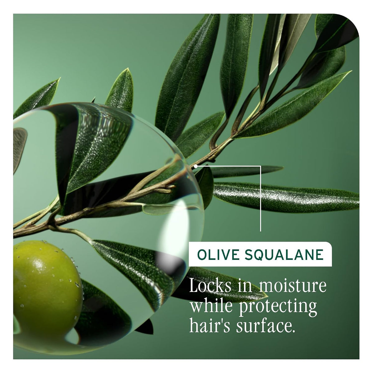 Biolage Strength Recovery Shampoo – For Damaged Hair