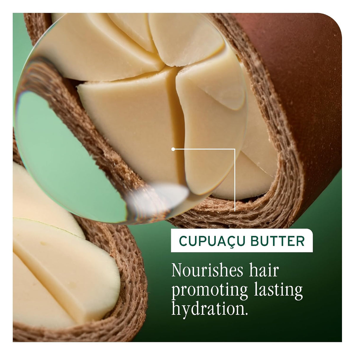 Biolage Ultra Hydra Source Shampoo - Deeply Moisturizes & Conditions Very Dry Hair, For Thick Hair