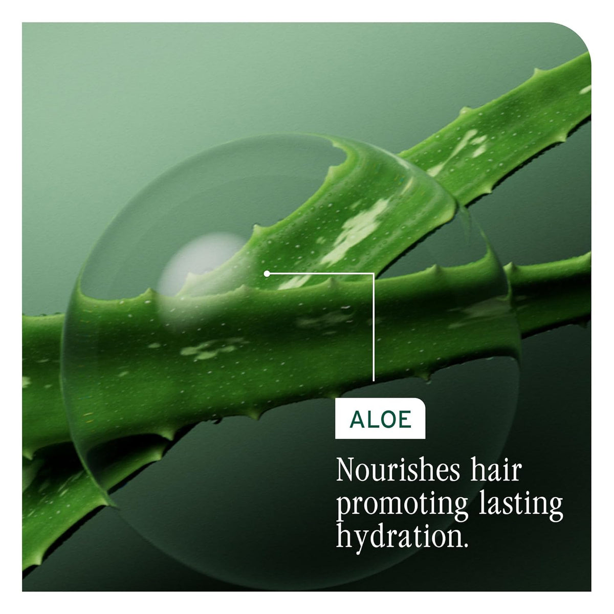 Biolage Hydra Source Shampoo – For Dry Hair