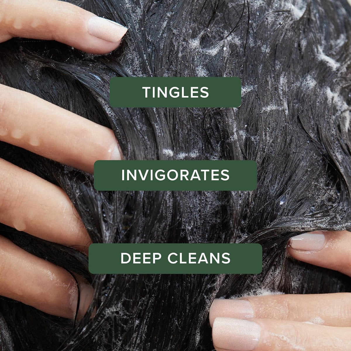 Tea Tree Special Shampoo, Deep Cleans, Refreshes Scalp, Especially Oily Hair, For All Hair Types