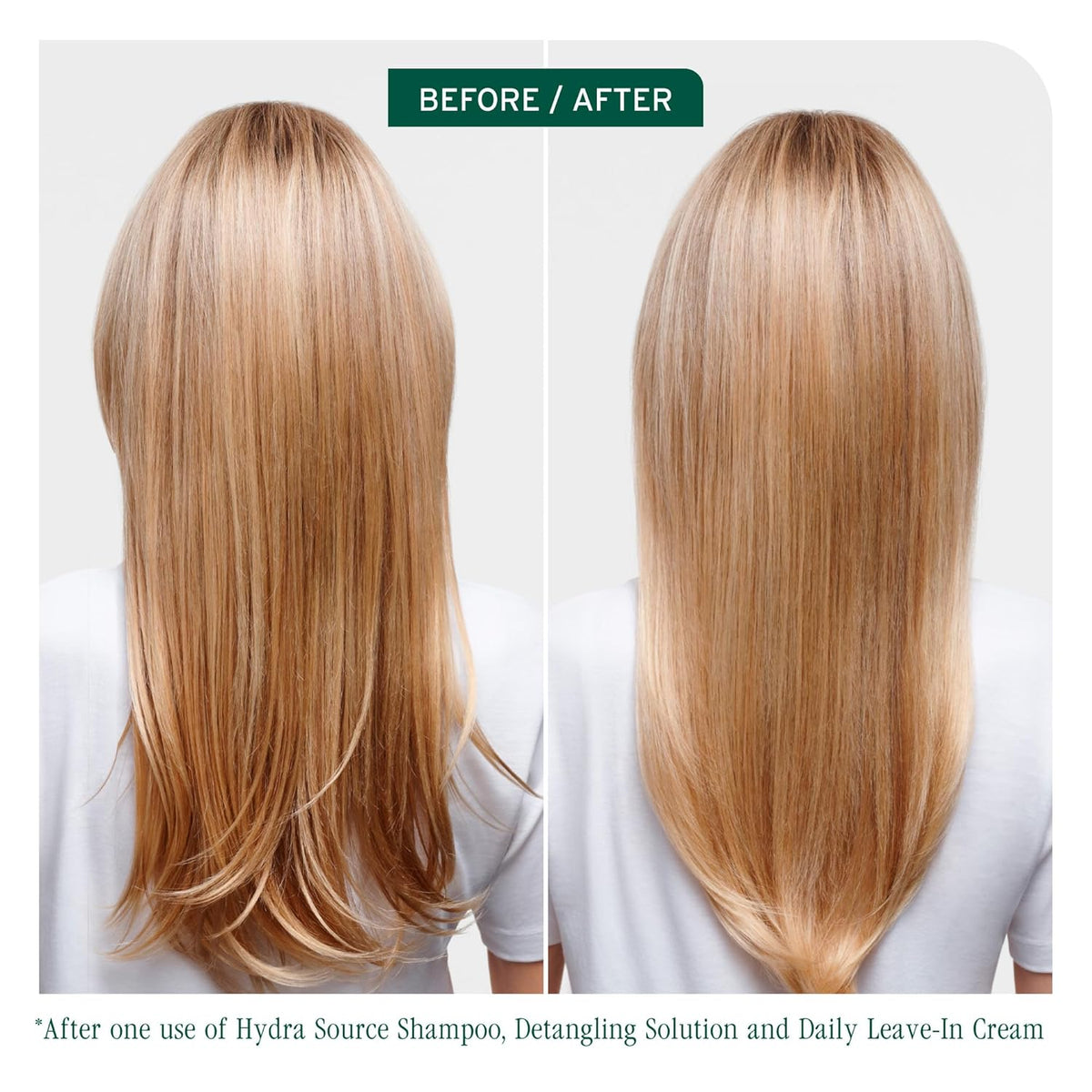 Biolage Hydra Source Shampoo – For Dry Hair